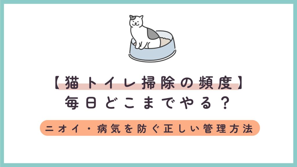 【猫トイレ掃除の頻度】毎日どこまでやる？ニオイ・病気を防ぐ正しい管理方法