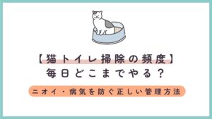 【猫トイレ掃除の頻度】毎日どこまでやる？ニオイ・病気を防ぐ正しい管理方法
