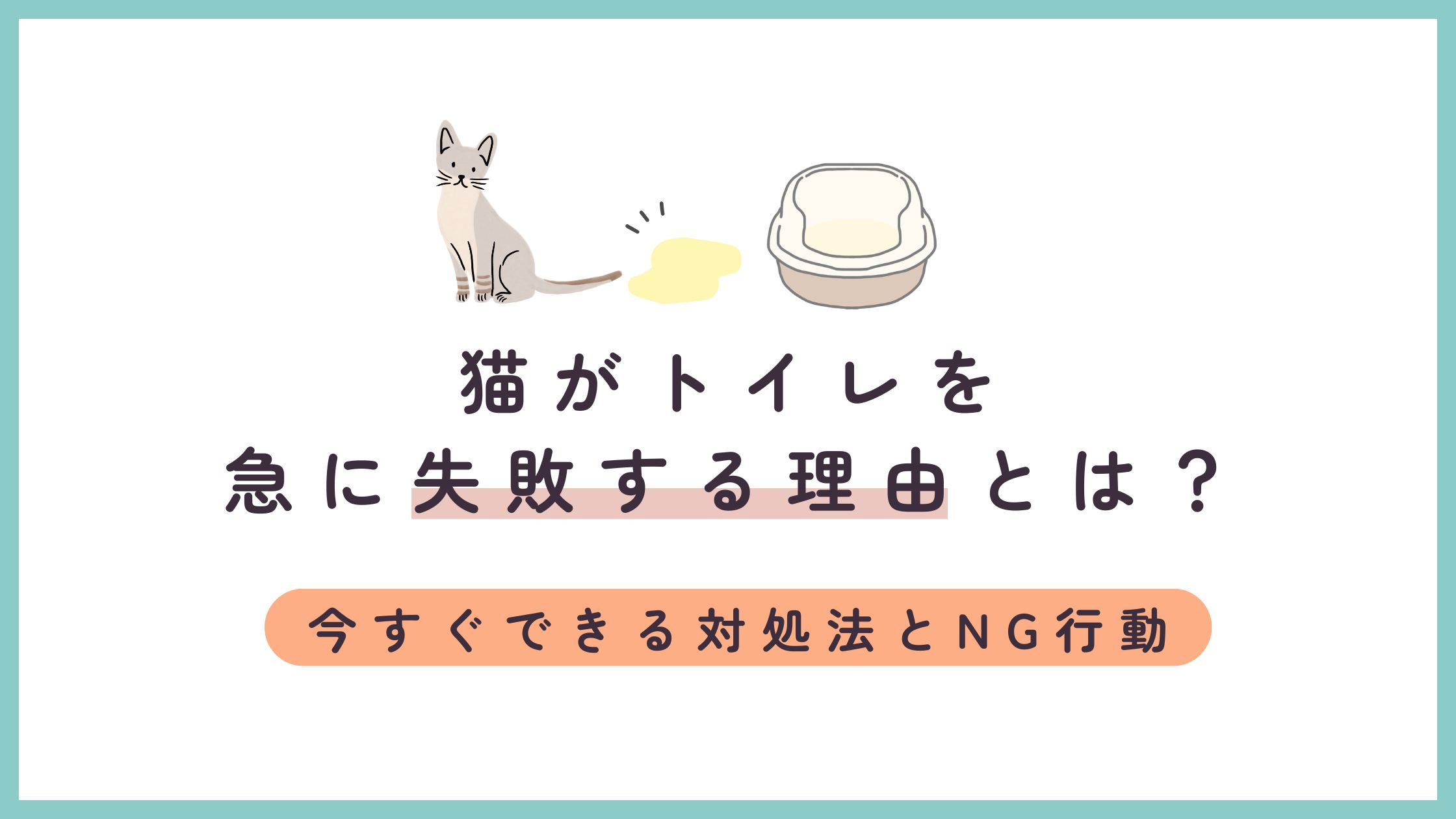 猫がトイレを急に失敗する理由とは？今すぐできる対処法とNG行動
