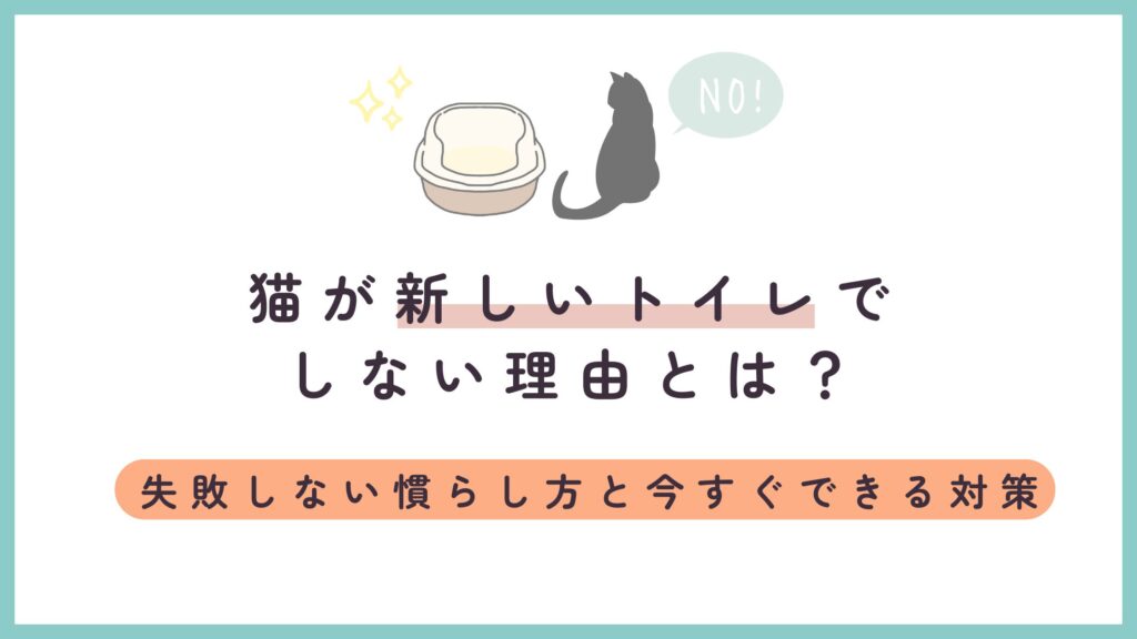 猫が新しいトイレでしない理由とは？失敗しない慣らし方と今すぐできる対策