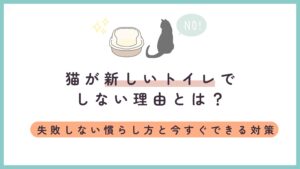 猫が新しいトイレでしない理由とは？失敗しない慣らし方と今すぐできる対策