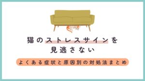 猫のストレスサインを見逃さない｜よくある症状と原因別の対処法まとめ