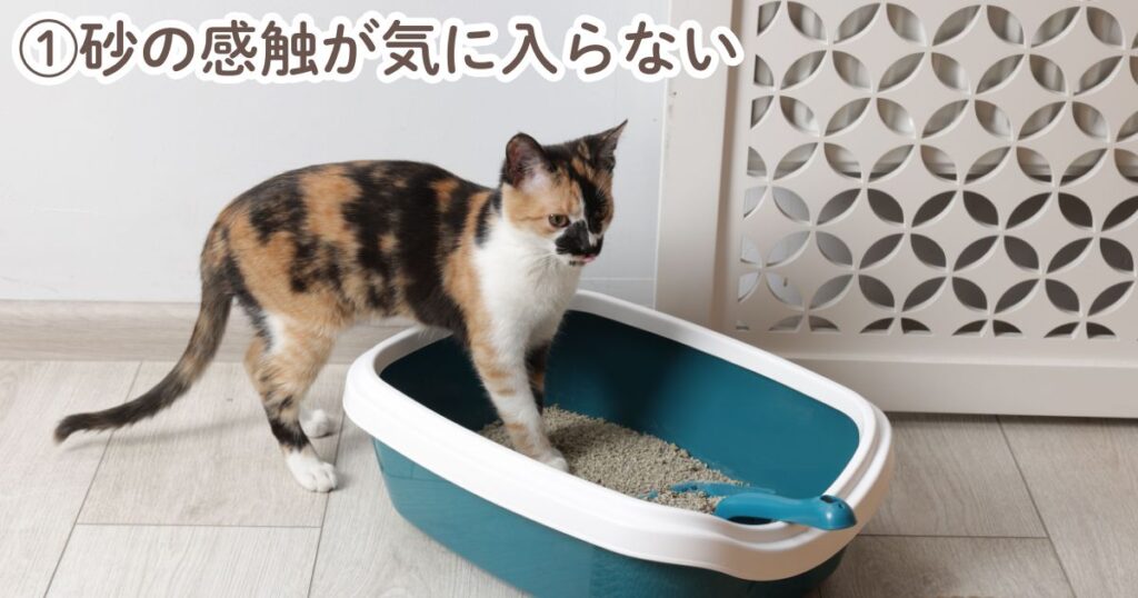 ①砂の感触が気に入らない